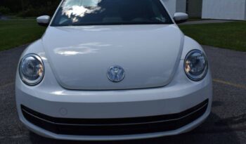 
									Volkswagen Beetle full								