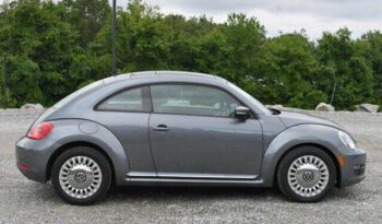 
									Volkswagen Beetle full								