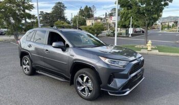 
									Toyota RAV4 Prime full								