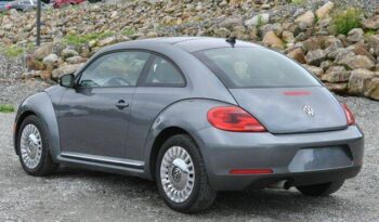 
									Volkswagen Beetle full								