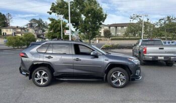 
									Toyota RAV4 Prime full								