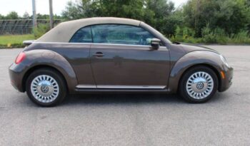 
									Volkswagen Beetle Convertible full								