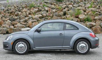 
									Volkswagen Beetle full								