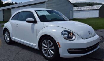 
									Volkswagen Beetle full								