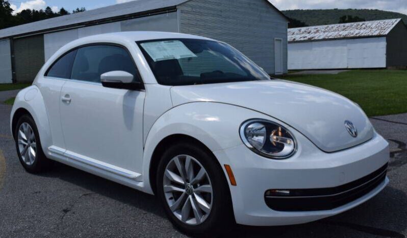 
								Volkswagen Beetle full									