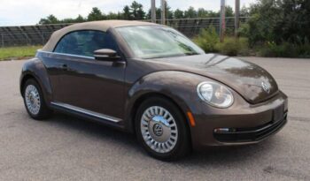 
									Volkswagen Beetle Convertible full								