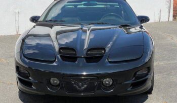 
									Pontiac Firebird full								