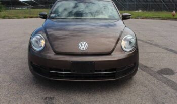 
									Volkswagen Beetle Convertible full								