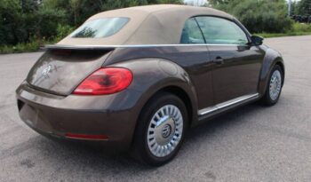 
									Volkswagen Beetle Convertible full								