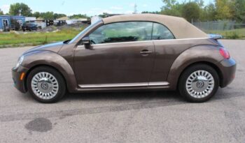 
									Volkswagen Beetle Convertible full								