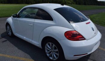 
									Volkswagen Beetle full								