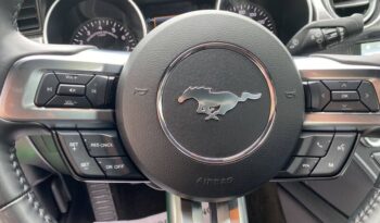 
									Ford Mustang full								