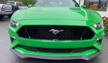 
									Ford Mustang full								