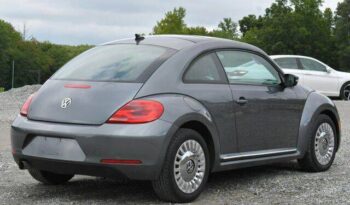 
									Volkswagen Beetle full								