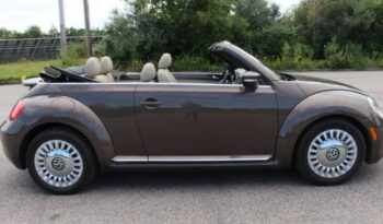 
									Volkswagen Beetle Convertible full								