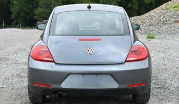 
									Volkswagen Beetle full								