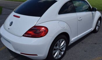 
									Volkswagen Beetle full								