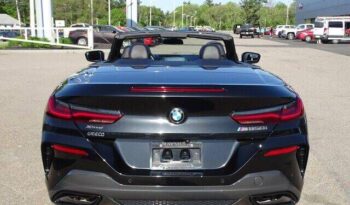 
									BMW 8 Series full								